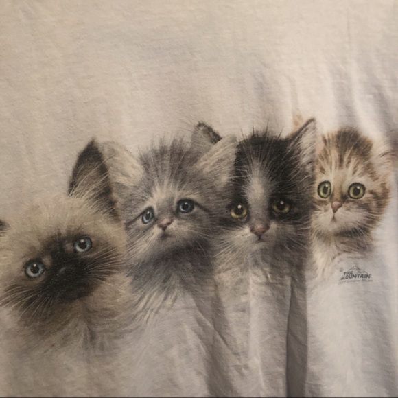Blue kitten t-shirt - Picture 2 of 4